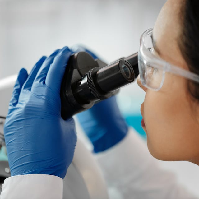 pexels-photo-4033021 Pexels Photo 4033021